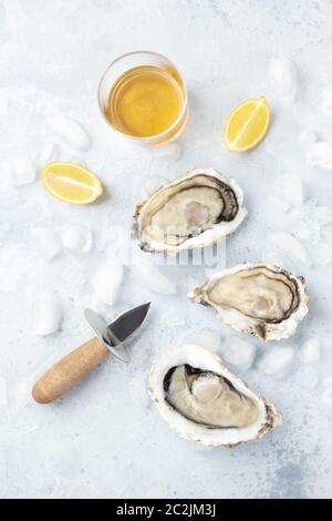 Crudo fresco ostriche, ripresa dall'alto sul ghiaccio con un bicchiere di vino bianco, le fette di limone e coltello shucking Foto Stock