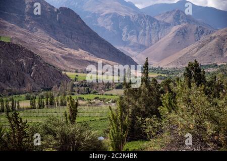 Bella Elqui-Valley, Cile Foto Stock