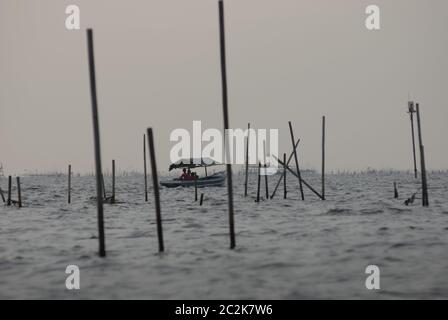 Imbarcazione ricreativa che si muove tra i pali di bambù sull'acqua costiera al largo della spiaggia del villaggio di Marunda a Giacarta, Indonesia. Foto Stock