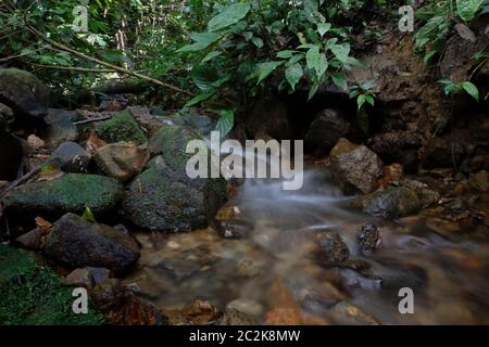 Un piccolo ruscello in una foresta sul bordo del blocco ovest dell'ecosistema di Batang Toru nel centro di Tapanuli, Sumatra del Nord, Indonesia. Foto Stock