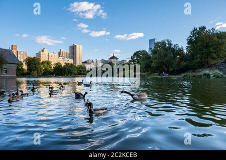 Colore all'inizio dell'autunno in Central Park North Foto Stock