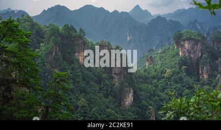 Vista panoramica delle colonne in pietra di Montagne Tianzi in Zhangjiajie National Park che è una famosa attrazione turistica, Wulingyuan, nella provincia del Hunan, Foto Stock