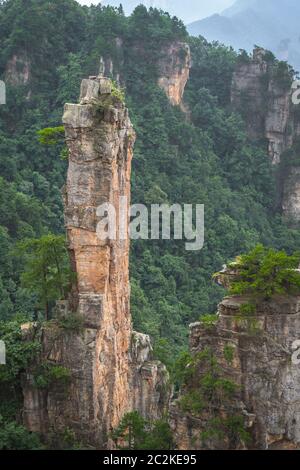 Vista verticale del pilastro di pietra di Montagne Tianzi in Zhangjiajie National Park, una famosa attrazione turistica, Wulingyuan, nella provincia del Hunan, Cina Foto Stock