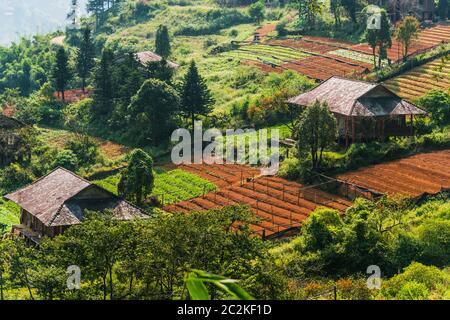 Agricoltura su piccola scala a Sapa nella provincia di Lao Cai nel Vietnam del nord-ovest Foto Stock