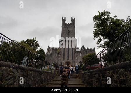 Cattedrale di Santa Maria, Limerick, Repubblica d'Irlanda, Europa Foto Stock