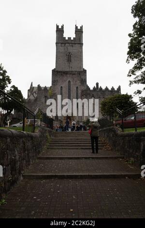 Cattedrale di Santa Maria, Limerick, Repubblica d'Irlanda, Europa Foto Stock