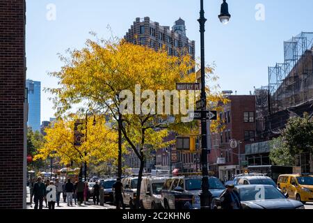 Colore delle foglie autunnali del Washington Square Park vicino a New York a Lower Manhattan Foto Stock