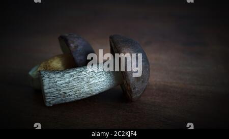 Betulla (fungo Leccinum scabrum) e una baia bolete (Imleria badia) su un tavolo da cucina Foto Stock