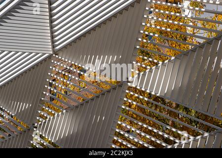 Colore delle foglie autunnali del Greenwich Village a Lower Manhattan Foto Stock