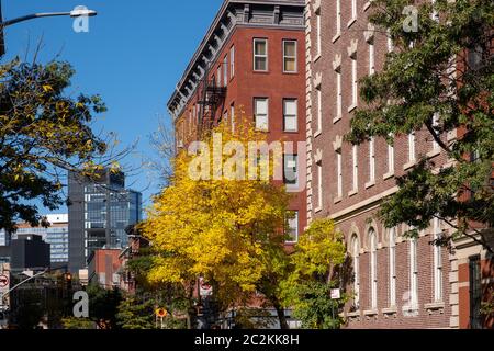 Colore delle foglie autunnali del Greenwich Village a Lower Manhattan Foto Stock