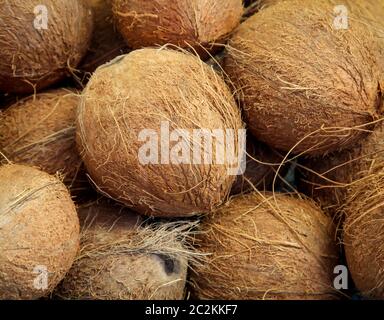 molte noci di cocco che giacciono su un mucchio Foto Stock