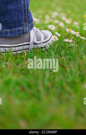 Bambino ragazzo o ragazza piedi in jeans e sneakers in piedi su erba verde di prato con il concetto di primavera margherite Foto Stock