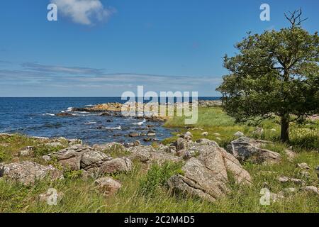 Linea costiera del Mar Baltico vicino al villaggio di Svaneke sull'isola di Bornholm in Danimarca Foto Stock