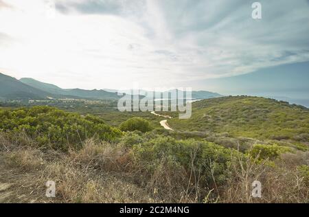 Tipico paesaggio collinare dal sud della Sardegna in Italia, con la tipica vegetazione di questo territorio. Foto Stock