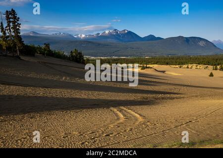 Il deserto più piccolo del mondo a Carcross in Canada Foto Stock