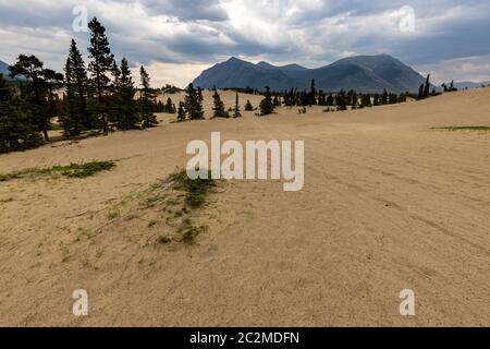 Il deserto più piccolo del mondo a Carcross in Canada Foto Stock