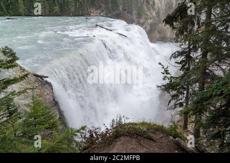 Immagine panoramica del Fiume Kicking Horse cascading sul Wapta Falls, Parco Nazionale di Yoho, British Columbia, Canada Foto Stock