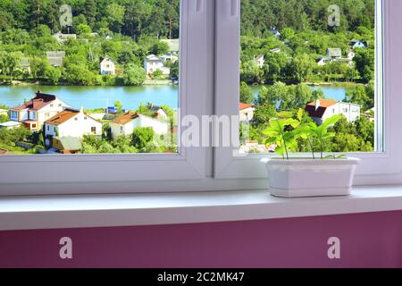 giovani piante di querce nel vaso di fiori e vista sulla città verde con lago Foto Stock