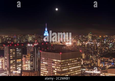 Vista panoramica notturna dall'edificio governativo metropolitano di Tokyo in una notte di luna piena. Foto Stock