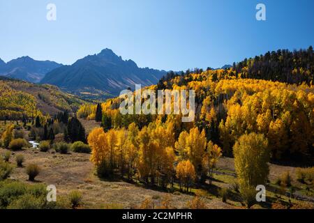 Aspens e cotonwoods in autunno, County Road 7, Sneffels Range, San Juan Mountains, Colorado Foto Stock