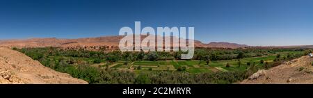 Panorama dell'Oasi di Tinghir nel Marocco Centrale Foto Stock