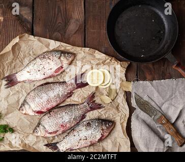 Fresco pesce carassio cosparso di spezie si trova su marrone carta sgualcita, tavolo in legno da schede, vista dall'alto Foto Stock