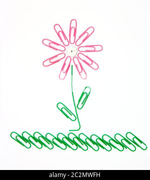 Fiore dal clip di carta Foto Stock