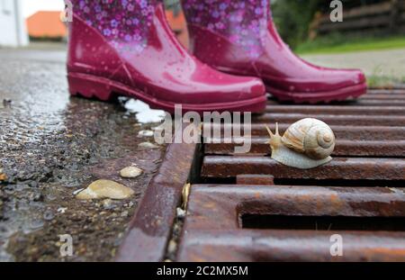 Stivali in gomma rosa su una griglia di drenaggio con lumaca in tempo piovoso Foto Stock