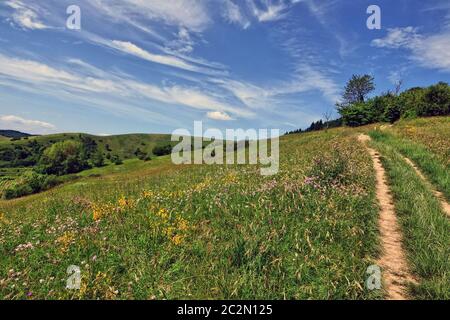 Paesaggio al Haselschacher Buck nel Kaiserstuhl interno Foto Stock