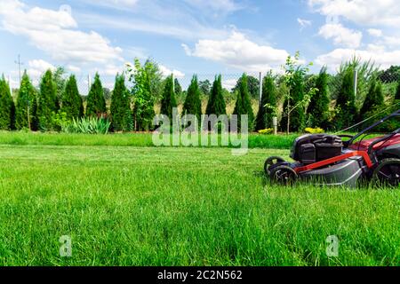 Tosaerba che taglia erba verde alta in cortile Foto Stock