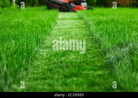 Tosaerba che taglia erba verde alta in cortile Foto Stock