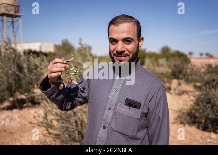 Sakakah / Arabia Saudita - 20 gennaio 2020: L'uomo Saudita in abiti musulmani tradizionali nel campo degli ulivi mostra olive a macchina fotografica Foto Stock