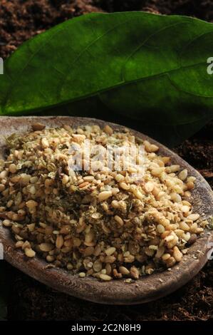 Primo piano di gomashio sul cucchiaio Foto Stock