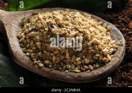 Primo piano di gomashio sul cucchiaio Foto Stock