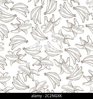 Banana frutta tropicale, cibo biologico esotico modello senza giunture Illustrazione Vettoriale