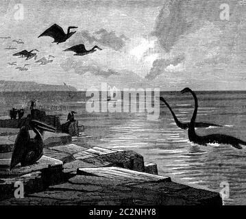 Invece di Parigi, era il mare. Pterodattili con ampie ali che saltano nel cielo, illustrazione vintage incisa. Terra prima dell'uomo – 1886. Foto Stock