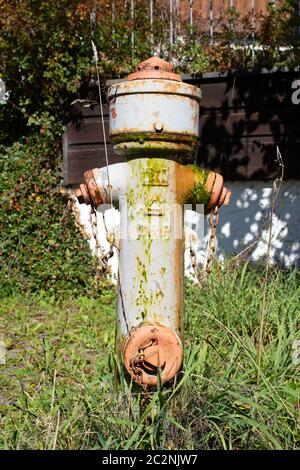 Idrante di acqua in Allgaeu. Germania Foto Stock