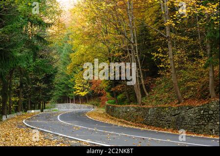 Strada nella foresta a Transfagarasan Foto Stock