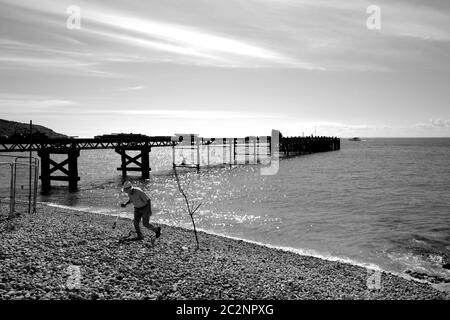 Ritirata OAP Old Age pensionata raccolta rifiuti su Totland Bay spiaggia in estate durante il tempo soleggiato e luminoso sul mare Foto Stock