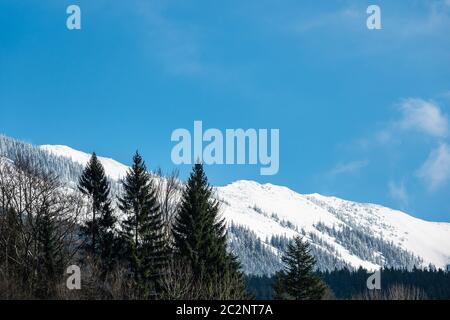 Inverno con neve nei Monti dei Giganti, Repubblica Ceca. Foto Stock