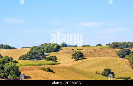 Giornata di sole al Winkworth Arboretum Park, Godalming, Surrey, Regno Unito Foto Stock