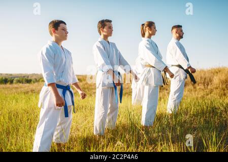 Gruppo di Karate con master in bianco kimono, allenamento nel campo estivo. Arte Marziale outdoor training, tecnica pratica Foto Stock