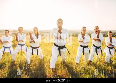 Gruppo di Karate con master in bianco kimono, allenamento nel campo estivo. Arte Marziale outdoor training, tecnica pratica Foto Stock