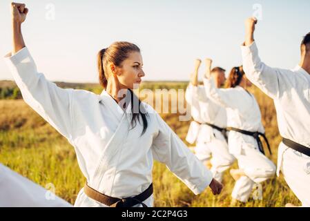 Gruppo di Karate con master in bianco kimono, allenamento nel campo estivo. Arte Marziale outdoor training, tecnica pratica Foto Stock