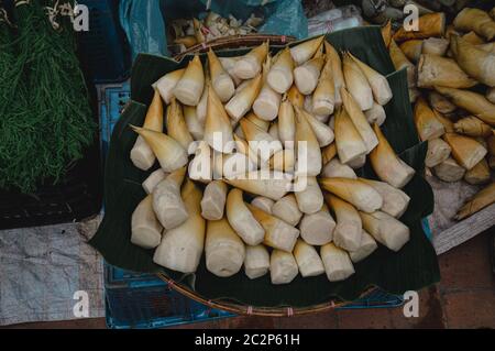 Naw mai o No mai (germogli di bambù), verdure esotiche popolari per zuppe in cucina tradizionale del Laos e vendute nel mercato mattutino di Luang Prabang Foto Stock