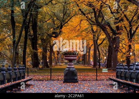 Colore delle foglie autunnali di Central Park a Manhattan Foto Stock