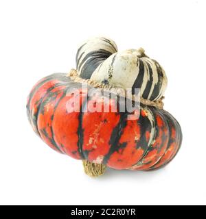Turbante Squash isolato su bianco Foto Stock
