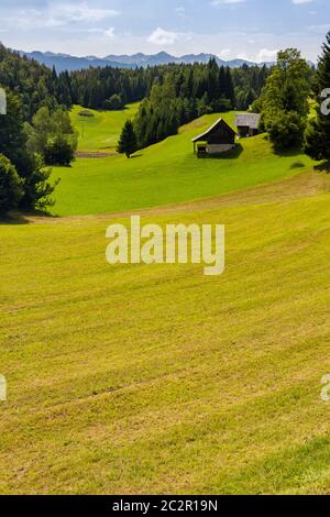 Parco Nazionale del Tricorno vicino al lago di Bohinj, Slovenia Foto Stock