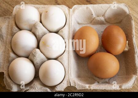 uova biologiche di galline di gamma libera nei cartoni speciali Foto Stock