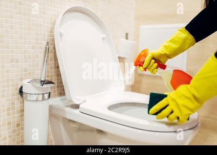 La cameriera le mani nei guanti di gomma pulisce il bidet con un detergente spray, hotel bagno interno su sfondo. Professional il servizio pulizie, charwoma Foto Stock